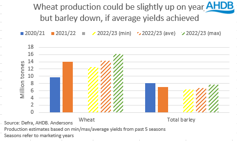 wheat production projections